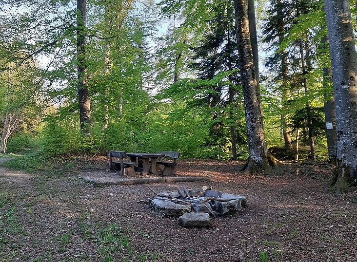 Ruine Baliken, Switzerland